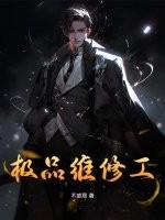 极品维修工王贵笔趣阁