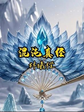 混沌天经介绍