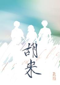 胡来什么意思