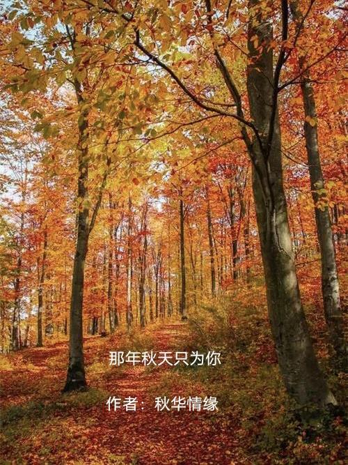 歌曲那年秋