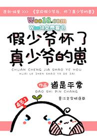 怀了真少爷的崽TXT