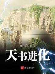 天书进化无弹窗
