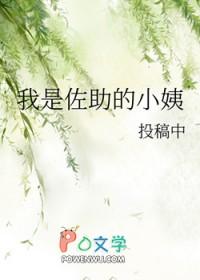 我是佐助的双胞胎