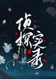 侦探实录剧情介绍电视猫