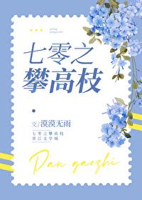 七零之攀高枝txt免费阅读
