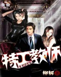 特工教师会武术 柳枫