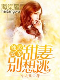 独家专宠小甜妻