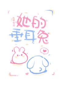 秘密情书台湾