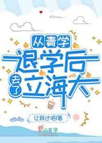 网王之青学教练