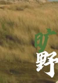 旷野艾青