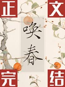 唤春昔在野讲的是什么