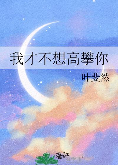 我才不想高攀你by叶斐然
