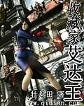 艾达王ry
