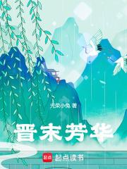 晋末芳华无错版TXT