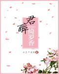 倾城小佳人讲的什么