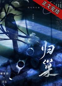 归巢的鸟儿