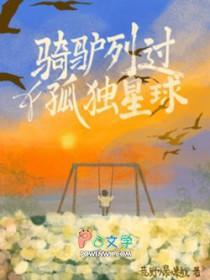 孤独的骑驴人