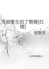 男主穿越红楼梦收凤姐