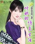 主角叶秋的