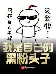 我是黑粉表情包