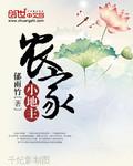 农家小地主TXT