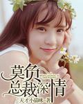 莫言情深不负你免费
