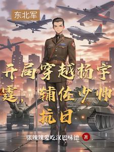 辅佐少帅抗日视频