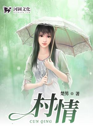 村情民情