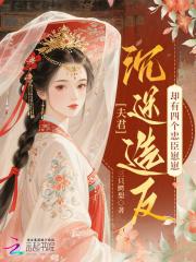 夫君个个都倾城四夫争宠
