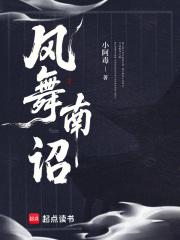 南诏的风