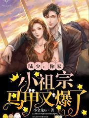 陆少你的小祖宗又甜又辣