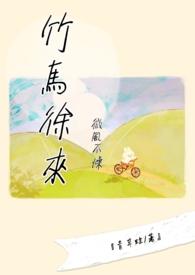 微风不燥歌曲