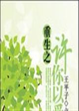 重生许你以爱书包网