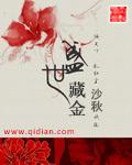 盛世藏金白大师