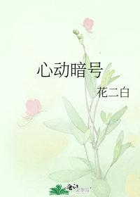 心动暗号全本TXT