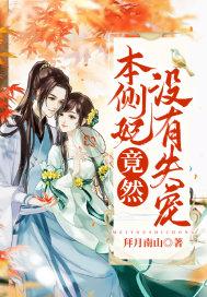 本王已娶侧妃数日