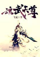魂武天尊主角秦阳简介