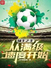 锋王之王从满级速度开始免费观看