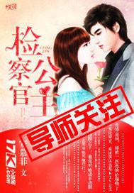 检察官公主续写