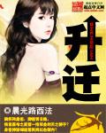 升迁之路TXT