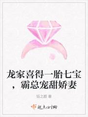 龙家兄弟免费阅读