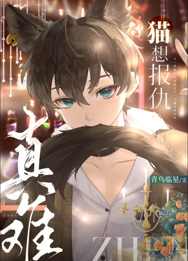 猫报复人的方式