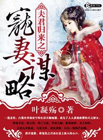 夫君归来之宠妻谋略作者叶凝殇