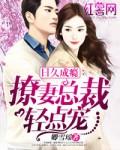 诱妻入怀总裁轻点宠妻全文免费阅读