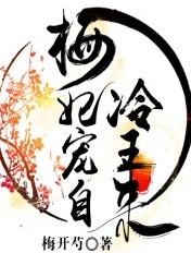 梅妃倾世皇妃