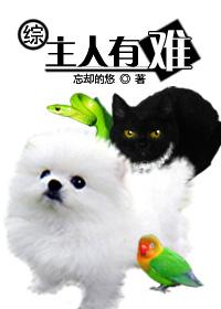 主人怪怪的意思是什么