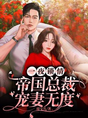 一夜锁情总裁老公请温柔免费阅读