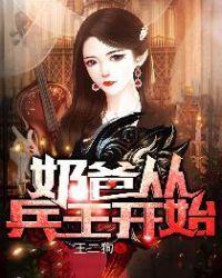 奶爸兵王回农村的