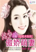 总裁求抱抱:龙少的傲娇萌妻